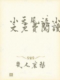 小天风流小说全文免费阅读无弹窗下