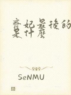 齐妃最后的结局是什么