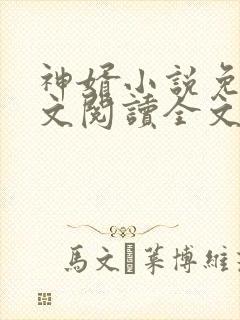 神婿小说免费全文阅读全文