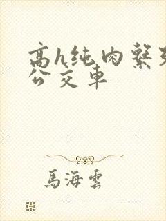 高h纯肉系列h公交车封面