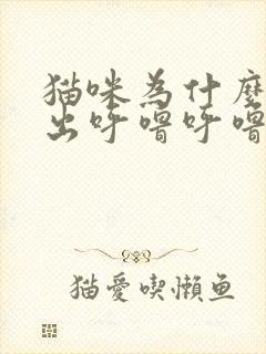 猫咪为什么会发出呼噜呼噜的声音