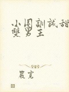 小圈训诫甜宠文双男主封面