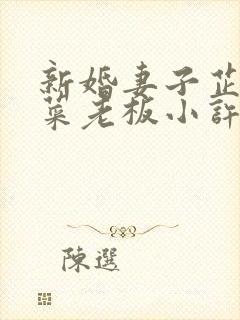 新婚妻子芷珊和菜老板小许小说免费封面