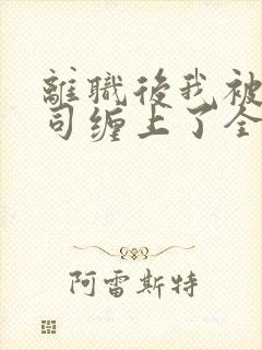 离职后我被前上司缠上了全文阅读阅读