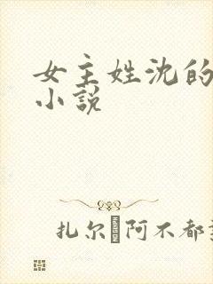 女主姓沈的古言小说封面