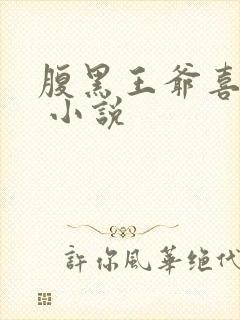 腹黑王爷喜当爹 小说