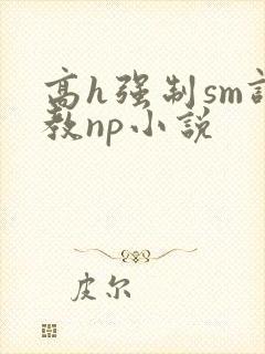 高h强制sm调教np小说