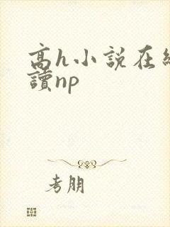 高h小说在线阅读np