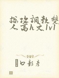 总攻调教双性美人高h文1v1封面