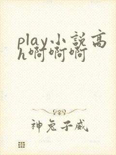 play小说高h啊啊啊封面
