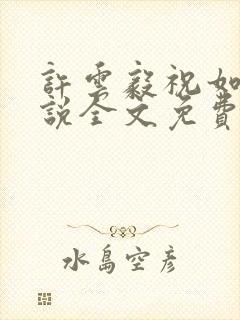 许云毅祝如星小说全文免费阅读