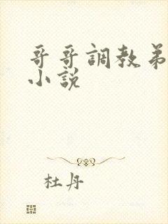 哥哥调教弟弟的小说