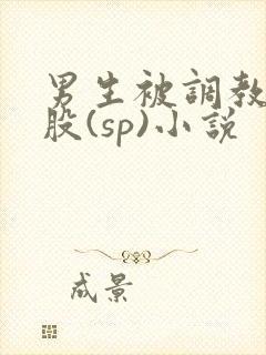 男生被调教打屁股(sp)小说封面