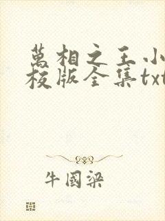 万相之王小说精校版全集txt