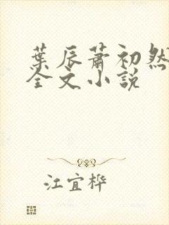 叶辰萧初然阅读全文小说