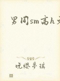 男同sm高h文封面