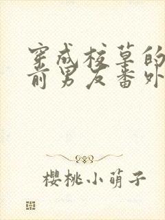 穿成校草的炮灰前男友番外