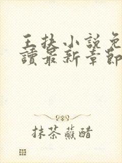 王扶小说免费阅读最新章节无弹窗