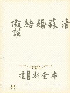 假结婚苏清月小说