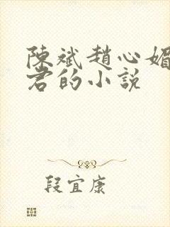 陈斌赵心媚高婉君的小说