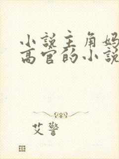 小说主角妈妈是高官的小说封面