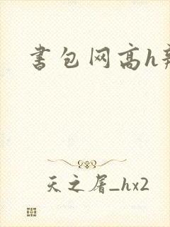 书包网高h辣文封面