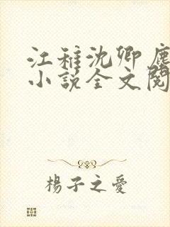 江稚沈卿尘免费小说全文阅读封面