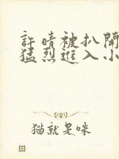 许晴被扒开双腿猛烈进入小说