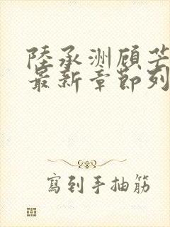 陆承洲顾芒小说最新章节列表封面