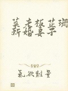 菜老板芷珊小说新婚妻子封面