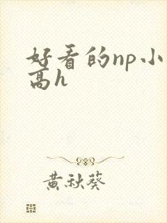 好看的np小说高h