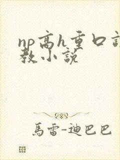 np高h重口调教小说