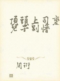 顶头上司变后妈儿子别懵