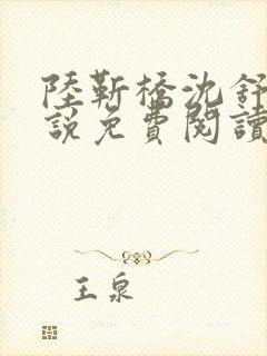 陆靳桥沈舒宁小说免费阅读最新章节