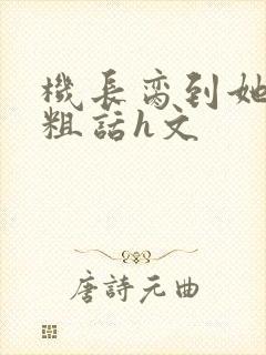 机长脔到她哭h粗话h文封面