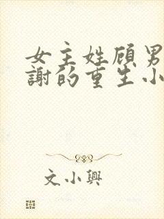 女主姓顾男主姓谢的重生小说封面