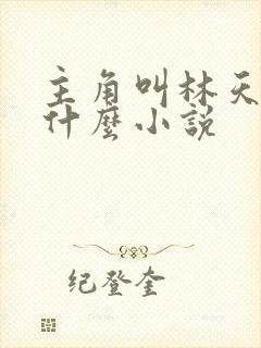主角叫林天的叫什么小说