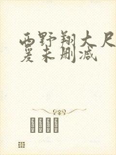 西野翔大尺度做爰未删减封面