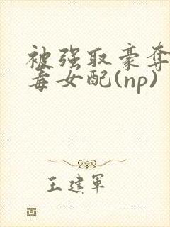 被强取豪夺的恶毒女配(np)封面