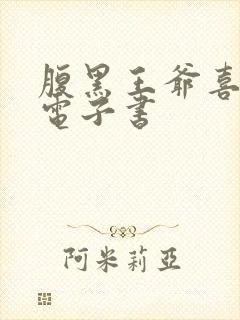 腹黑王爷喜当爹电子书