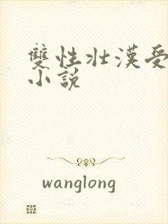 双性壮汉受生子小说