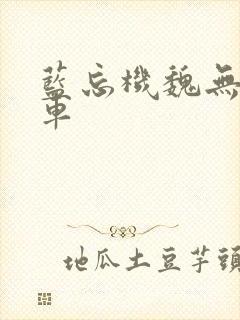 蓝忘机魏无羡肉车