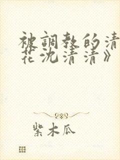 被调教的清纯校花沈清清》