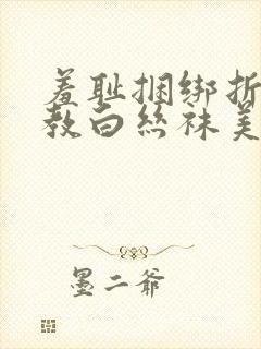 羞耻捆绑折磨调教白丝袜美女的小说