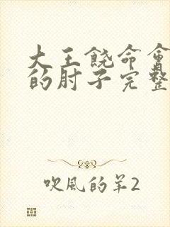 大王饶命会说话的肘子完整下载封面