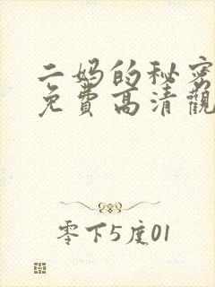 二妈的秘密短剧免费高清观看