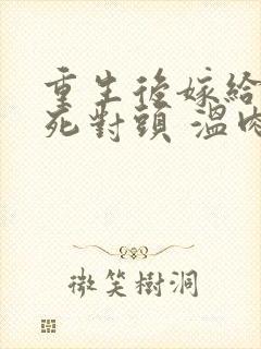 重生后嫁给渣男死对头 温肉肉