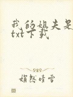 我的姐夫是太子txt下载封面
