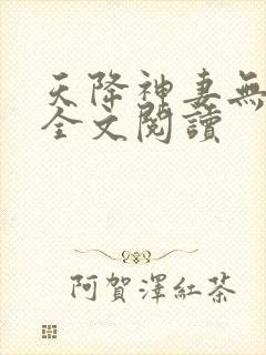 天降神妻无删减全文阅读