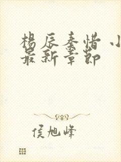 杨辰秦惜 小说最新章节封面